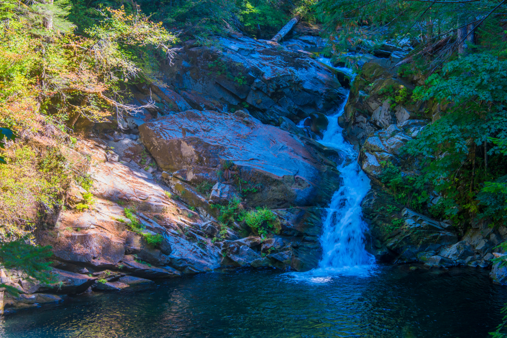 An image depicting the trail Horseshoe Falls Trail and its surrounding area.