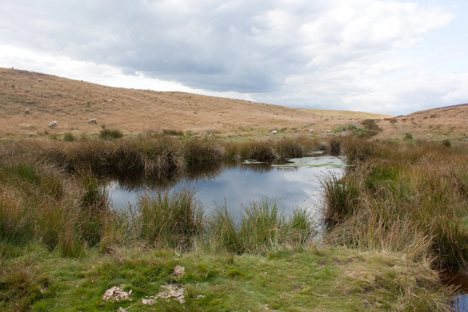 An image depicting the trail Dundale Pond from Levisham and its surrounding area.
