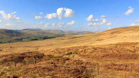 Gallowside Wood, Langfauld Wood, Potholm Hill and Castle Hill Loop