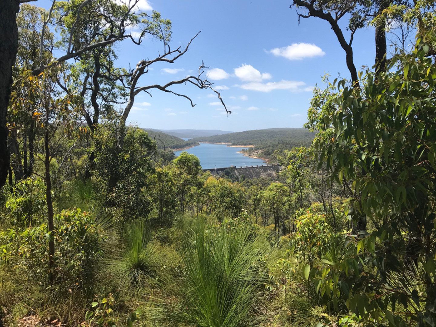 An image depicting the trail Dell to South Ledge Trail and its surrounding area.