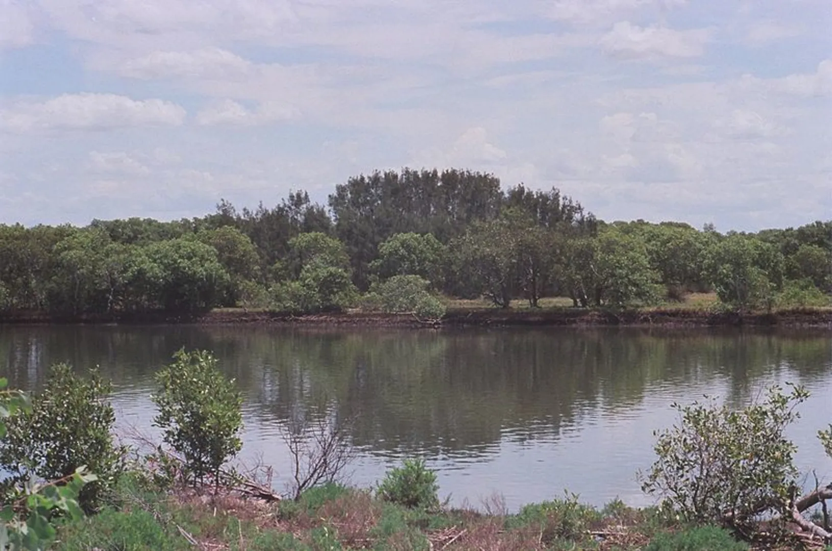 An image depicting the trail Scotts Point Way to Riverside Park Trail and its surrounding area.
