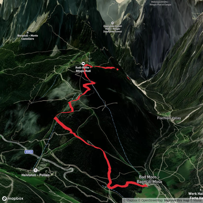 Croda Rossa Meadows – Val Fiscalina
