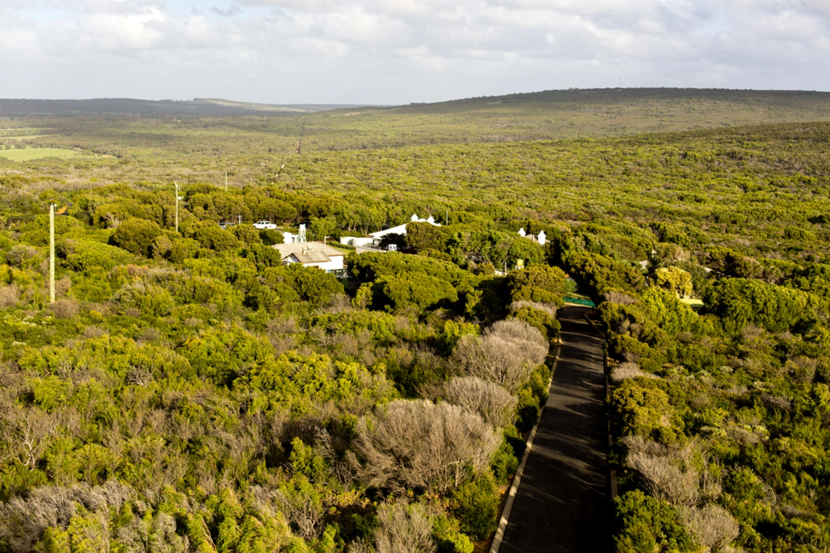 An image depicting the trail Bunker Bay Loop and its surrounding area.