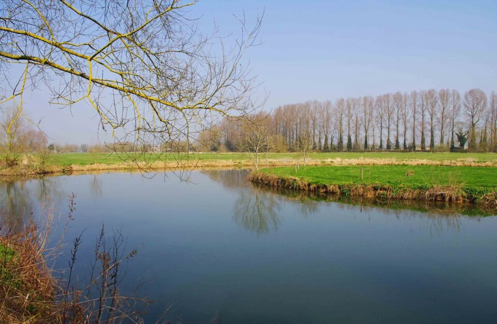 An image depicting the trail Buscot Weir Pool and River Thames Loop and its surrounding area.