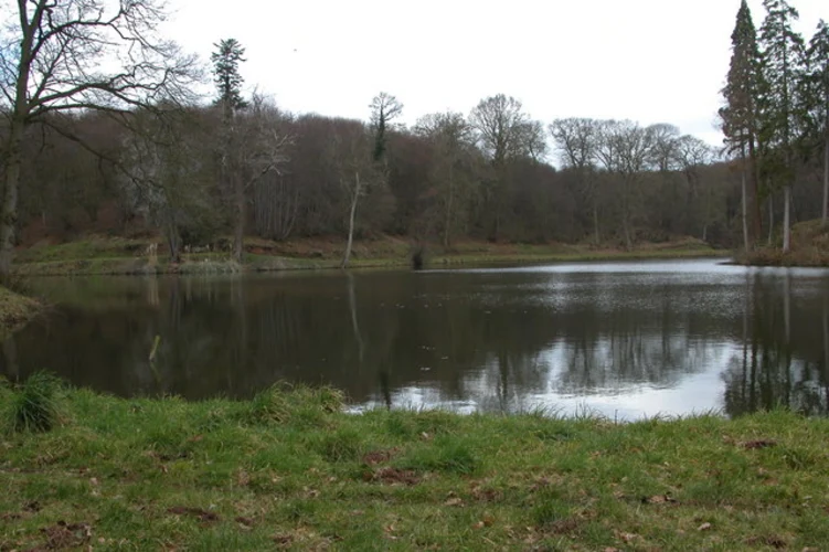 Shrawley Wood Walk
