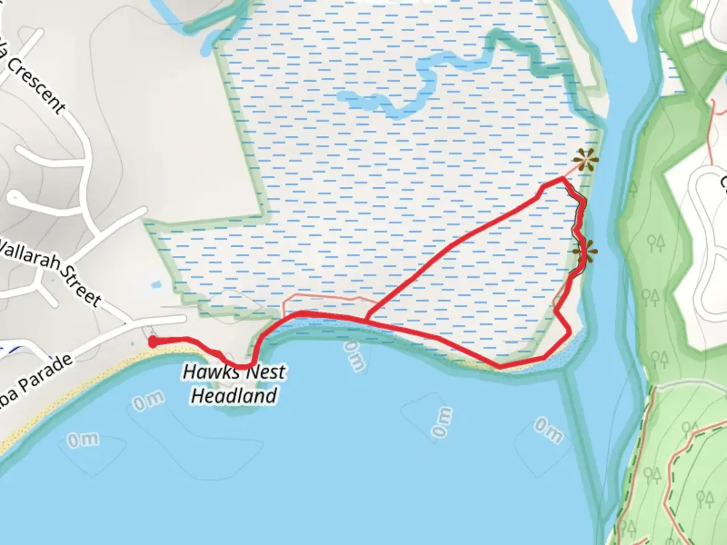 An image depicting the trail Mangrove Walk and its surrounding area.