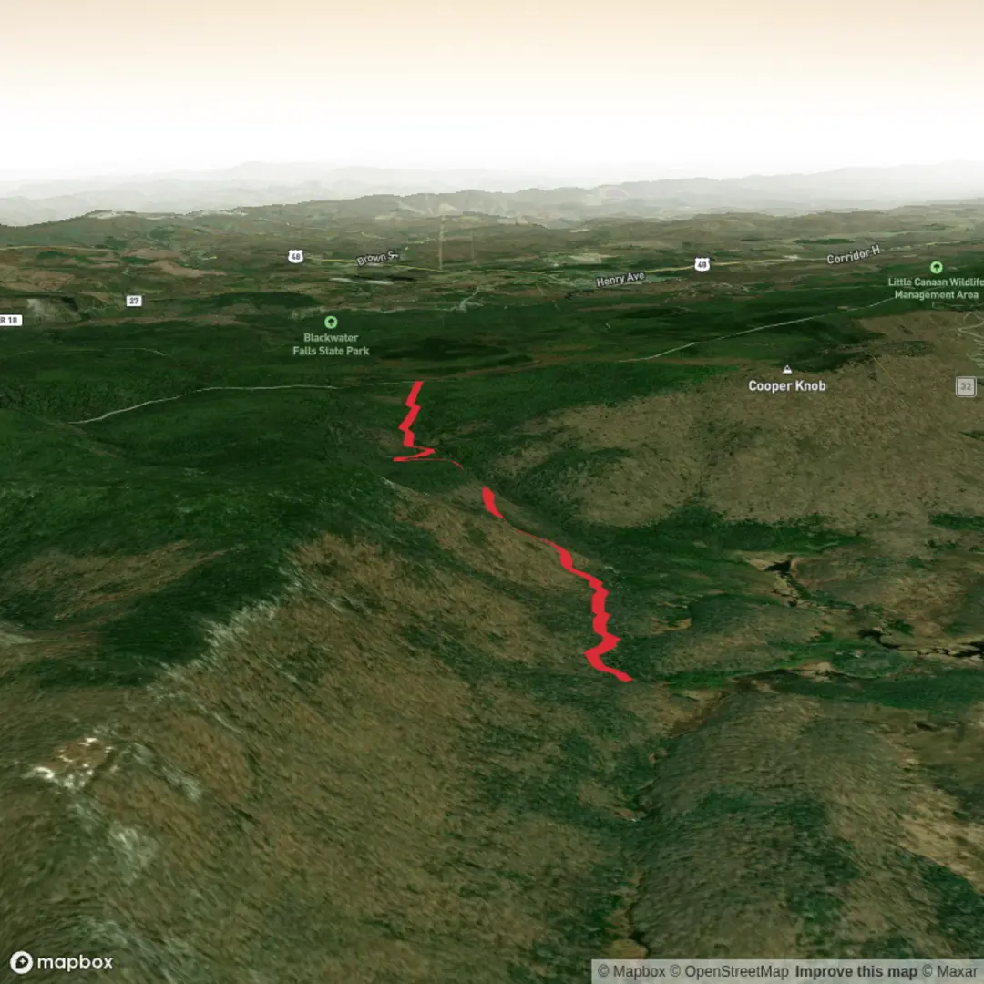 An image depicting the trail Allegheny Trail Out and Back and its surrounding area.