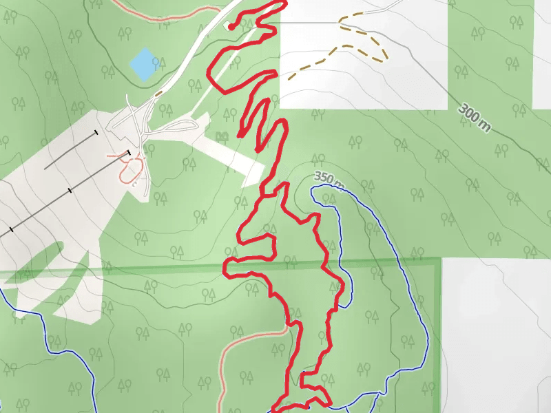 Diesel Bear Loop via Stick Up-Down