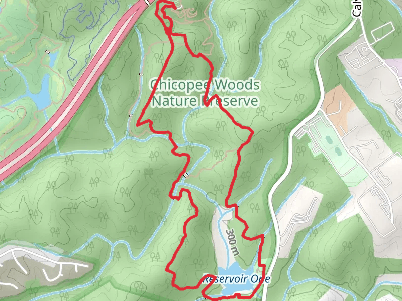 Reservoir One - Lake Loop