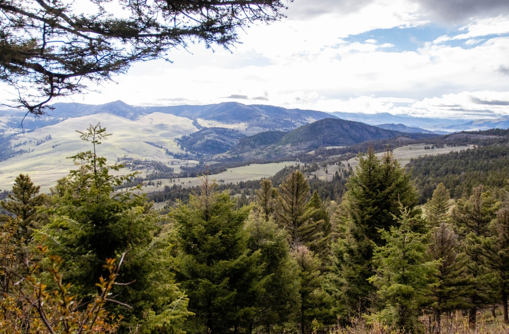 An image depicting the trail Cache Creek Trail and its surrounding area.