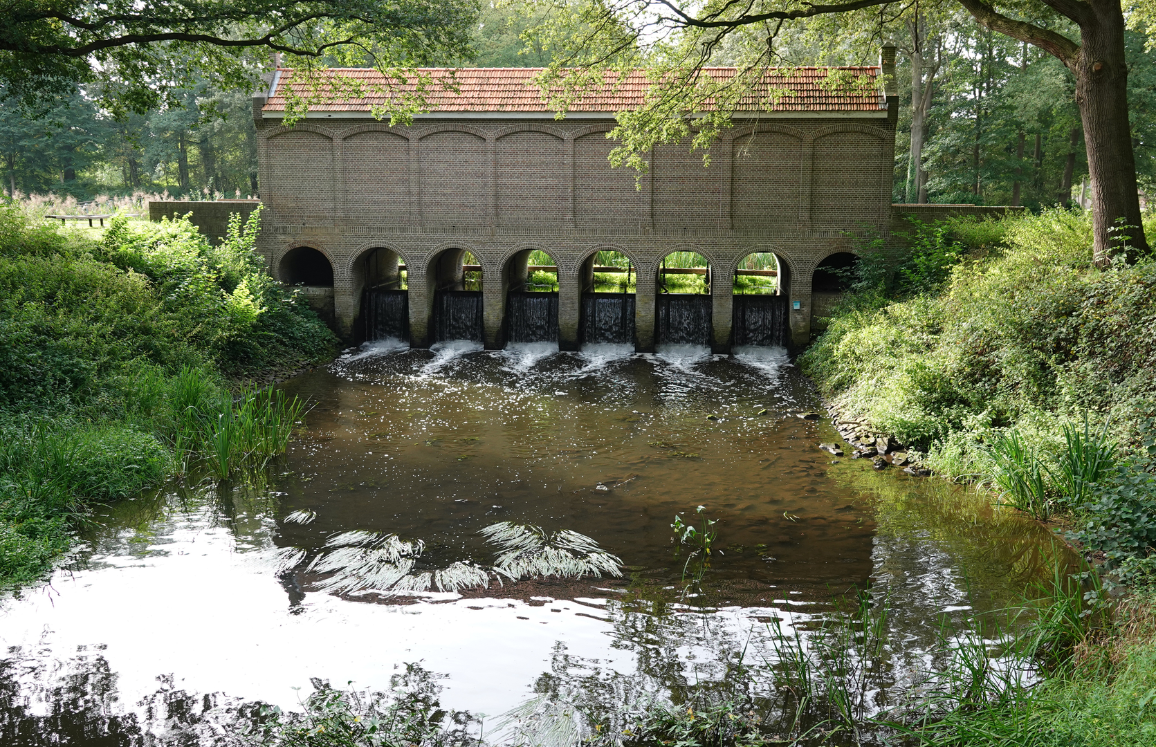 An image depicting the trail WNW Twente Tilligte Rode Route and Dinkelpad Loop and its surrounding area.