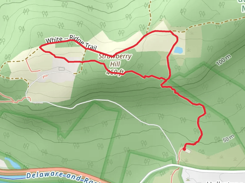 Strawberry Hill via Summit Trail and Ridge Loop Trail