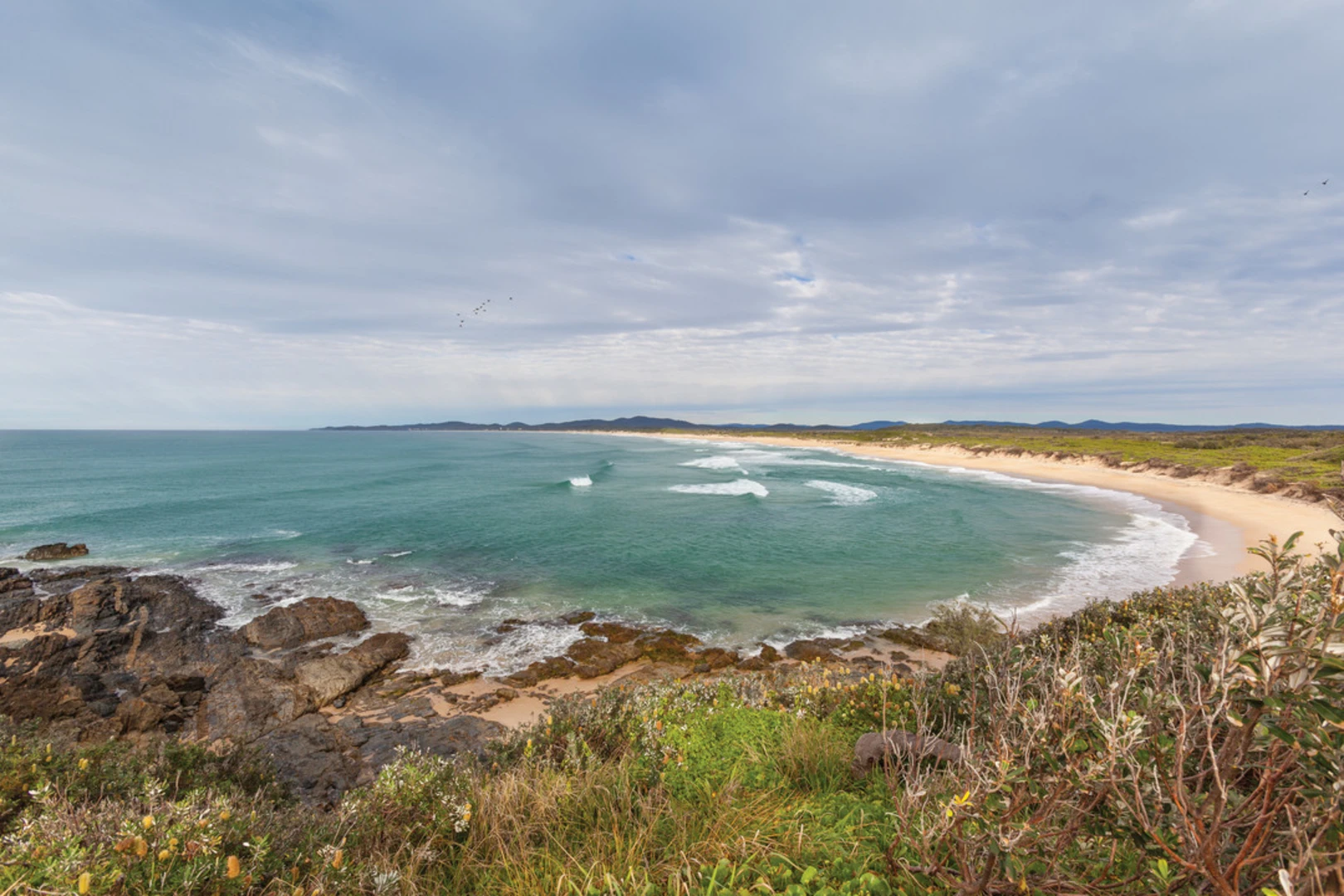 An image depicting the trail Wilsons Headland Track and its surrounding area.