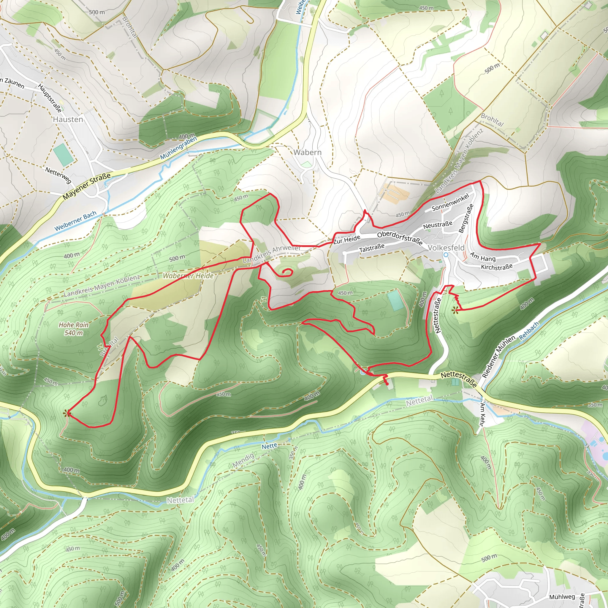 Riethelkreuz and Falklayblick Loop mobile static map