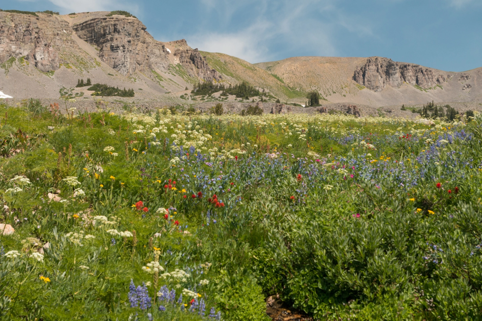 An image depicting the trail Alaska Basin Trail and its surrounding area.