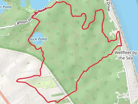 Great Pond and Duck Pond Loop