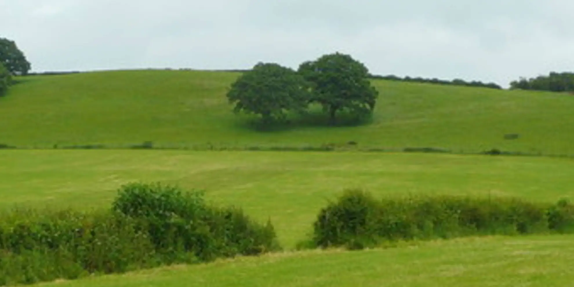 An image depicting the trail The Marcle Ridge from Much Marcle and its surrounding area.