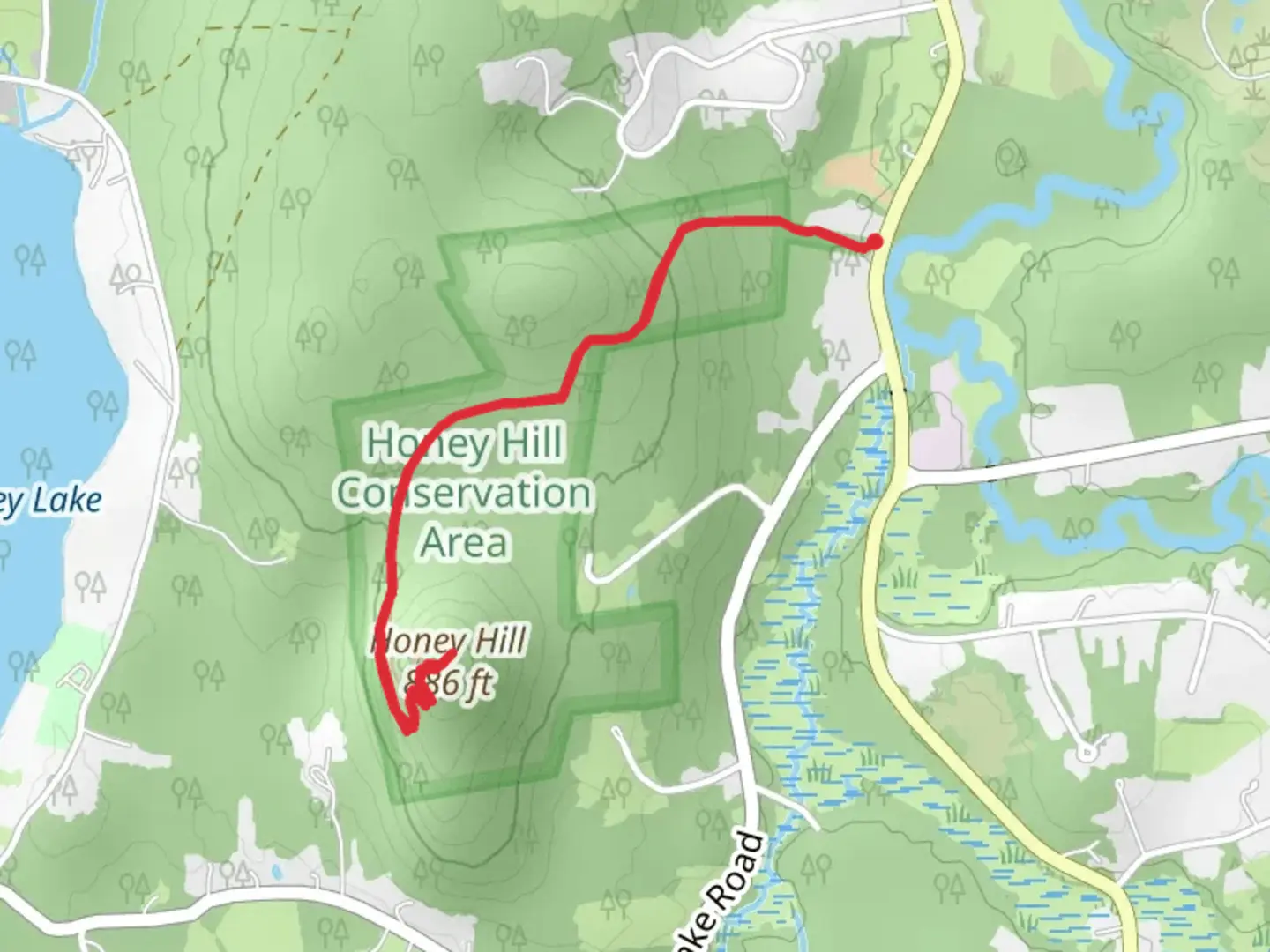 An image depicting the trail Honey Hill Blue - yellow Trail and its surrounding area.
