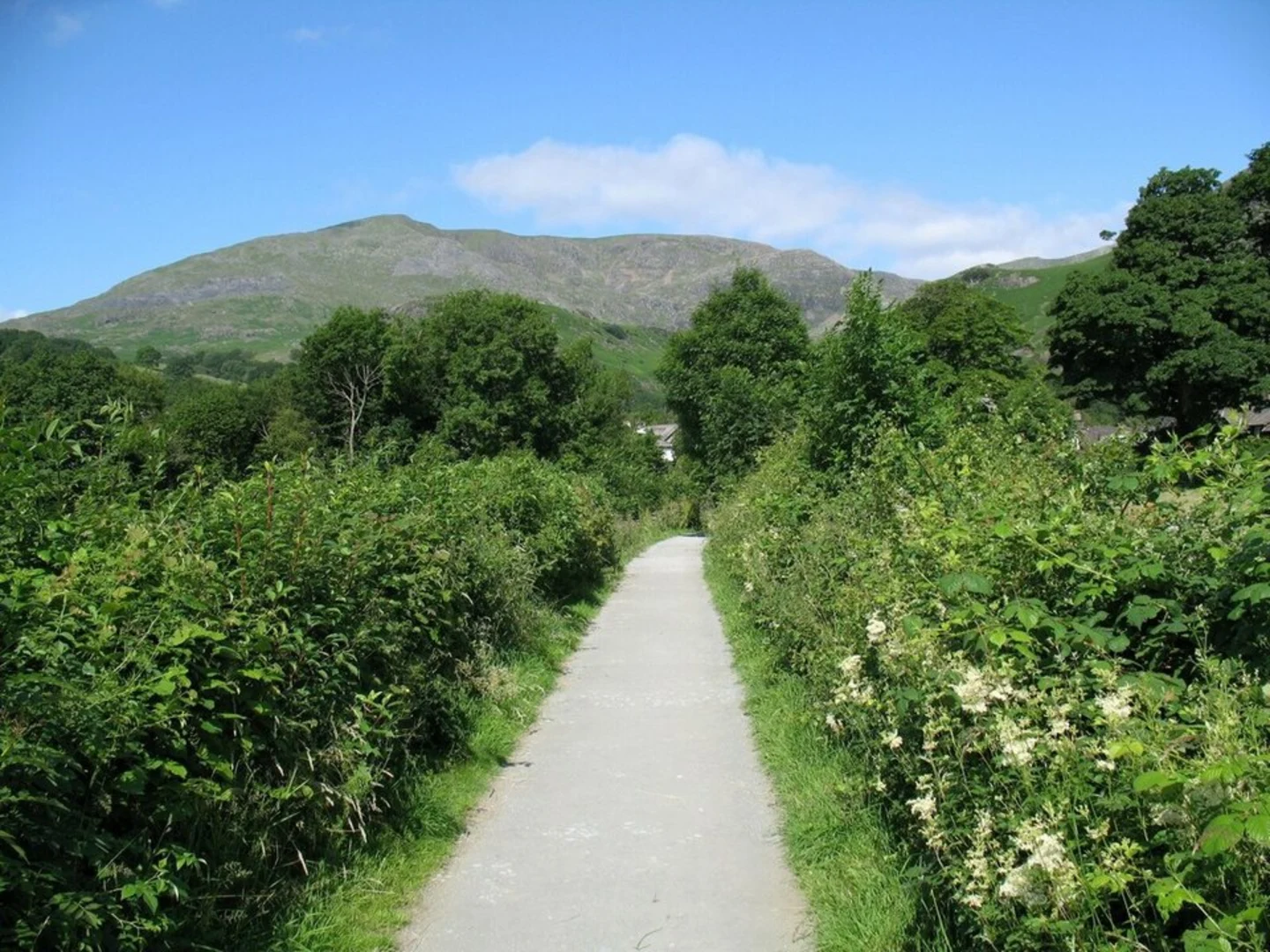 An image depicting the trail Yewdale Bridleway via Park Intake Wood and its surrounding area.