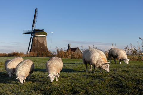 Weijdemeer and Ringsloot via Wogmeerdijk
