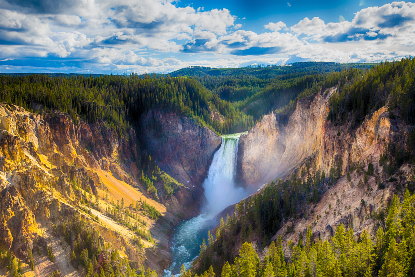 An image depicting the trail Brink of Lower Falls Trail and its surrounding area.