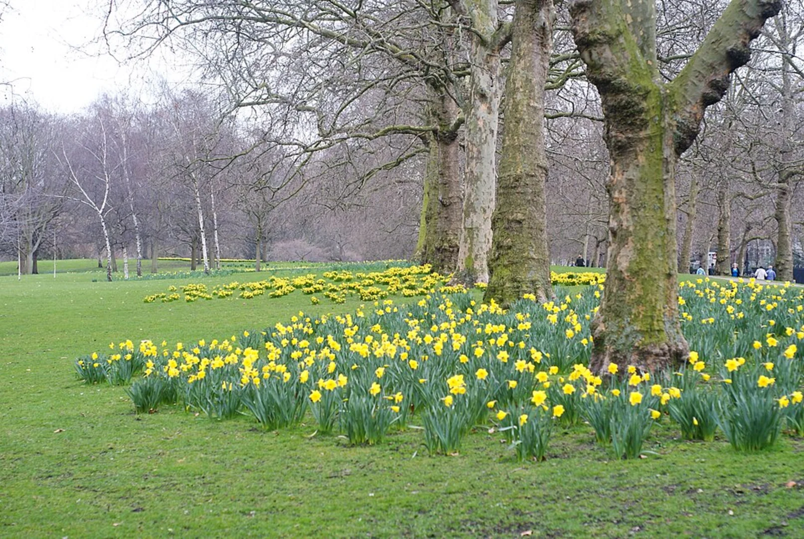 An image depicting the trail St James Park and Green Park Loop and its surrounding area.
