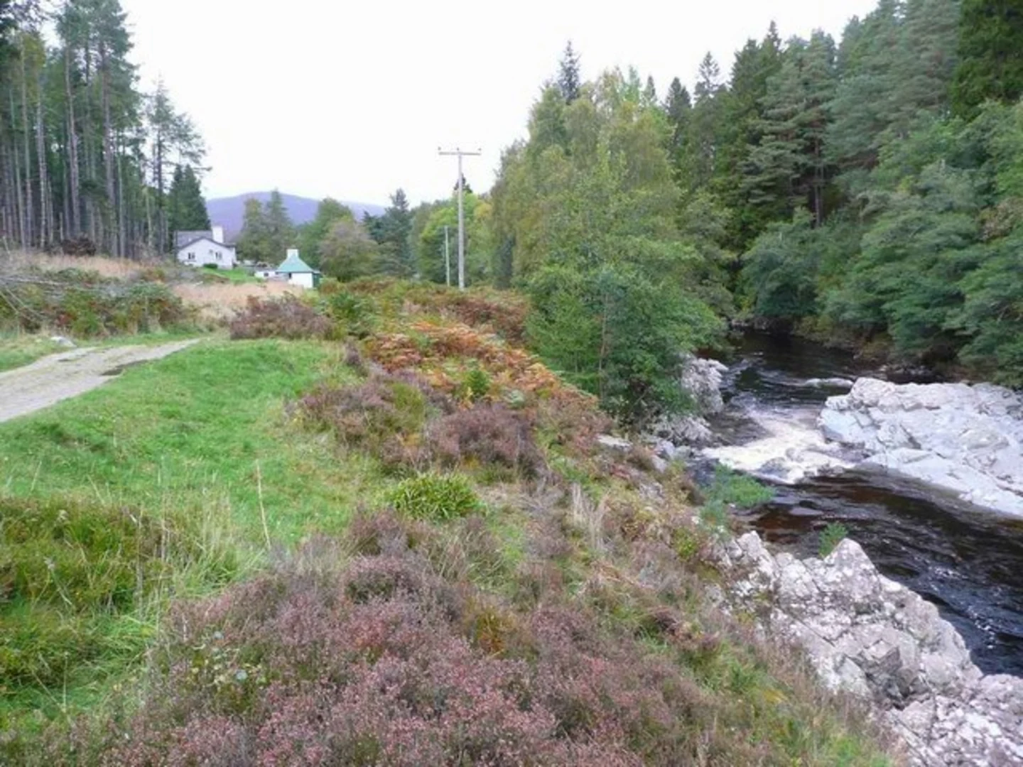 An image depicting the trail River Feshie Loop Trail and its surrounding area.