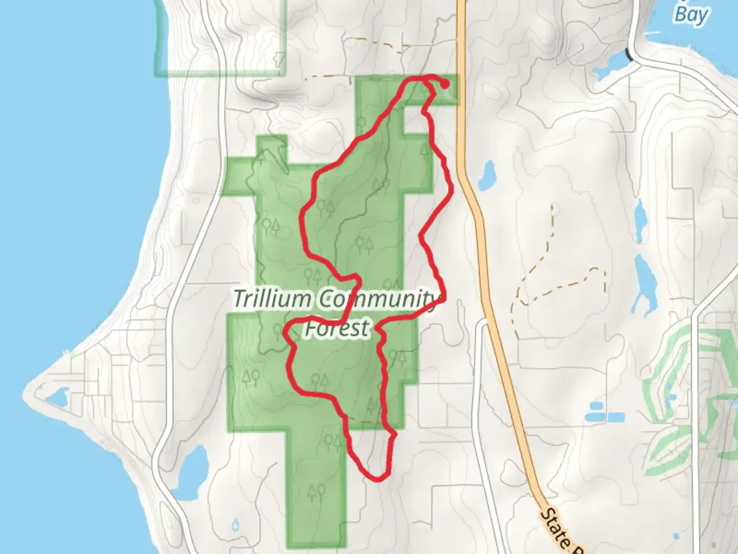 An image depicting the trail Trillium Community Forest Loop and its surrounding area.