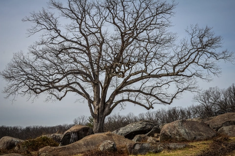 Stony Hill, Little Round and Spangler's Woods Loop
