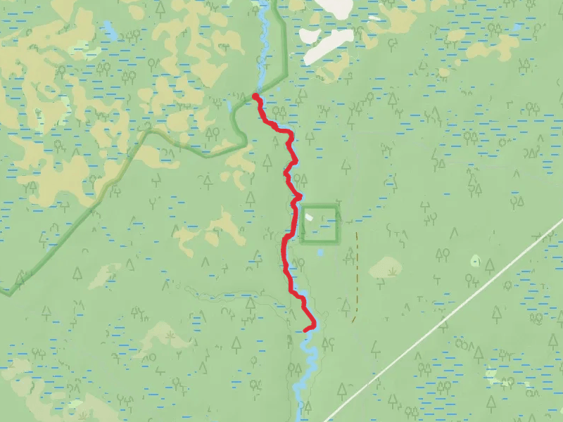 Sopchoppy River Walkalong via Florida Trail