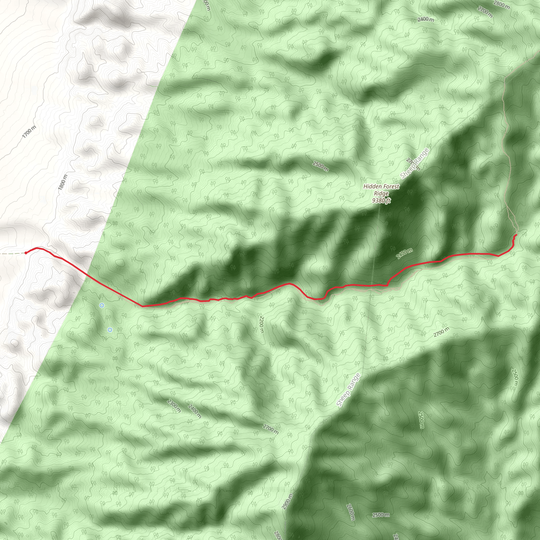 Hidden Forest Road mobile static map