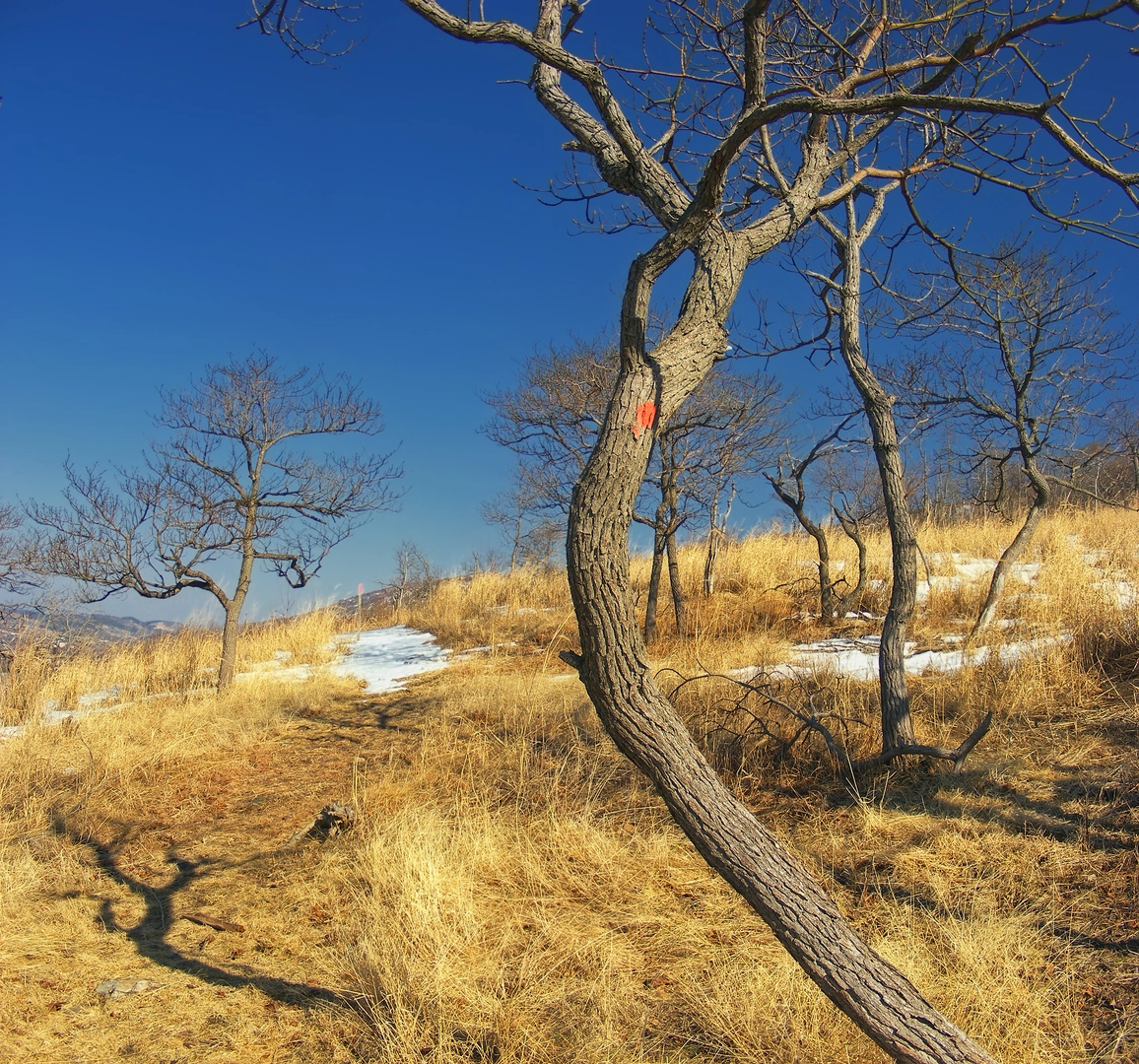 An image depicting the trail Bake Oven Knob Loop Trail and its surrounding area.