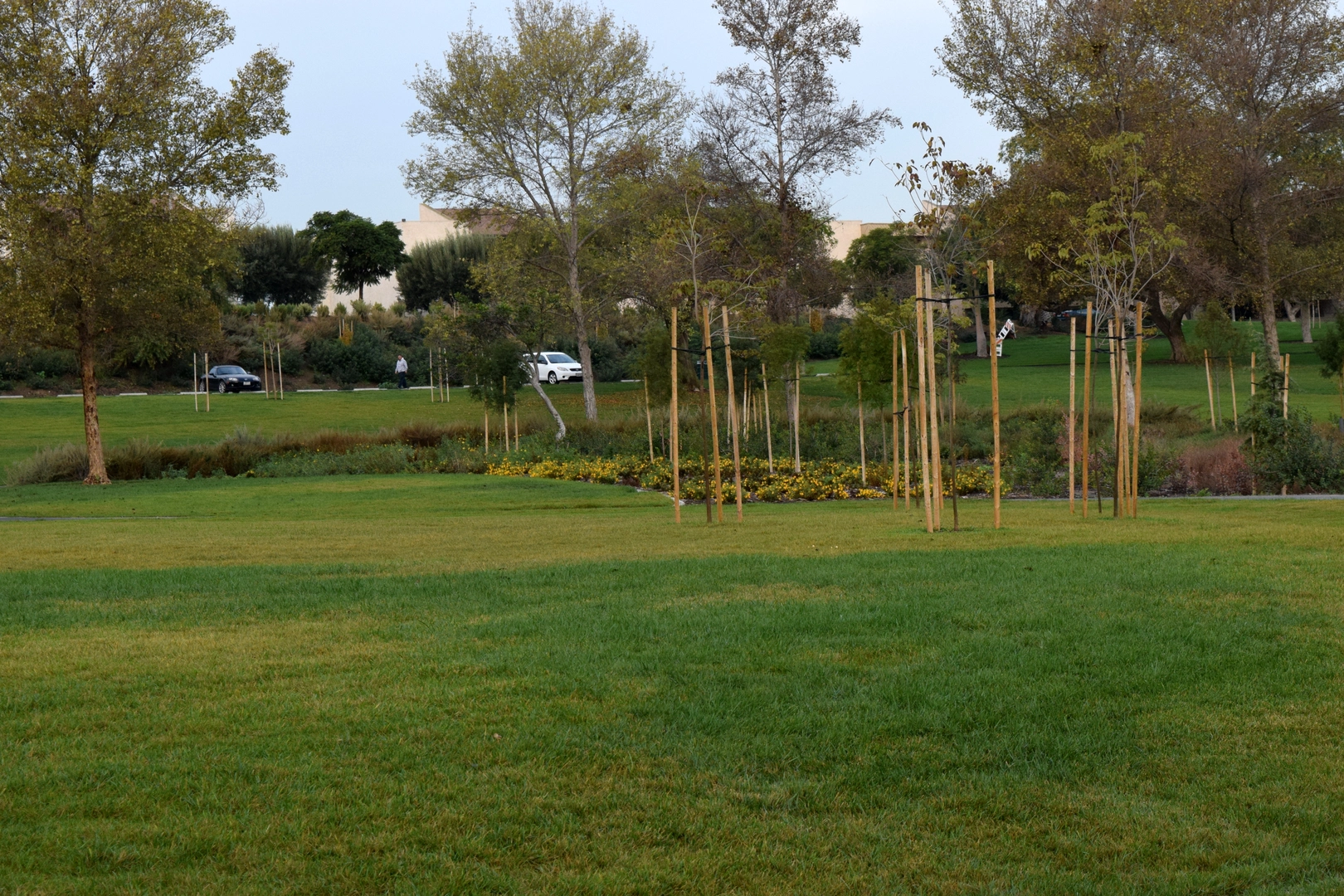 An image depicting the trail Walk along Harbor Lake and its surrounding area.