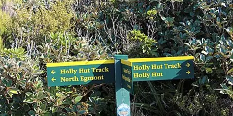 Kokowhai Track to Holly Hut
