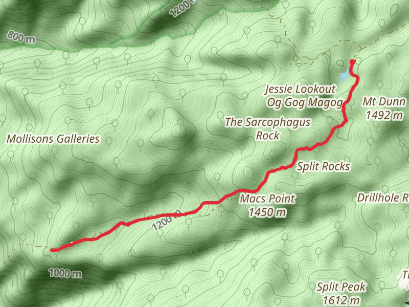 Rocky Creek Track