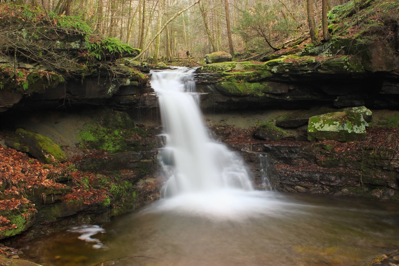 An image depicting the trail Ketchum Run and Loyalsock Trail Loop and its surrounding area.