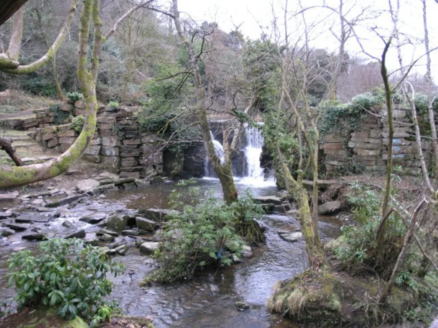 An image depicting the trail Penllergare Valley Woods Loop and its surrounding area.