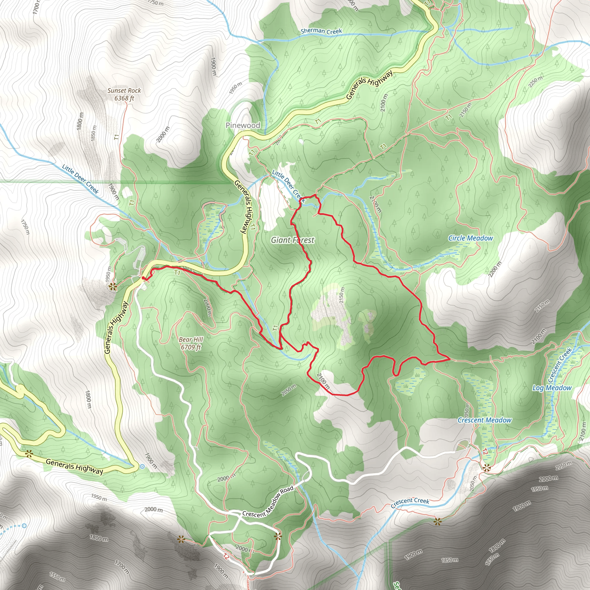 Alta, Huckleberry and Washington Tree Loop Trail mobile static map