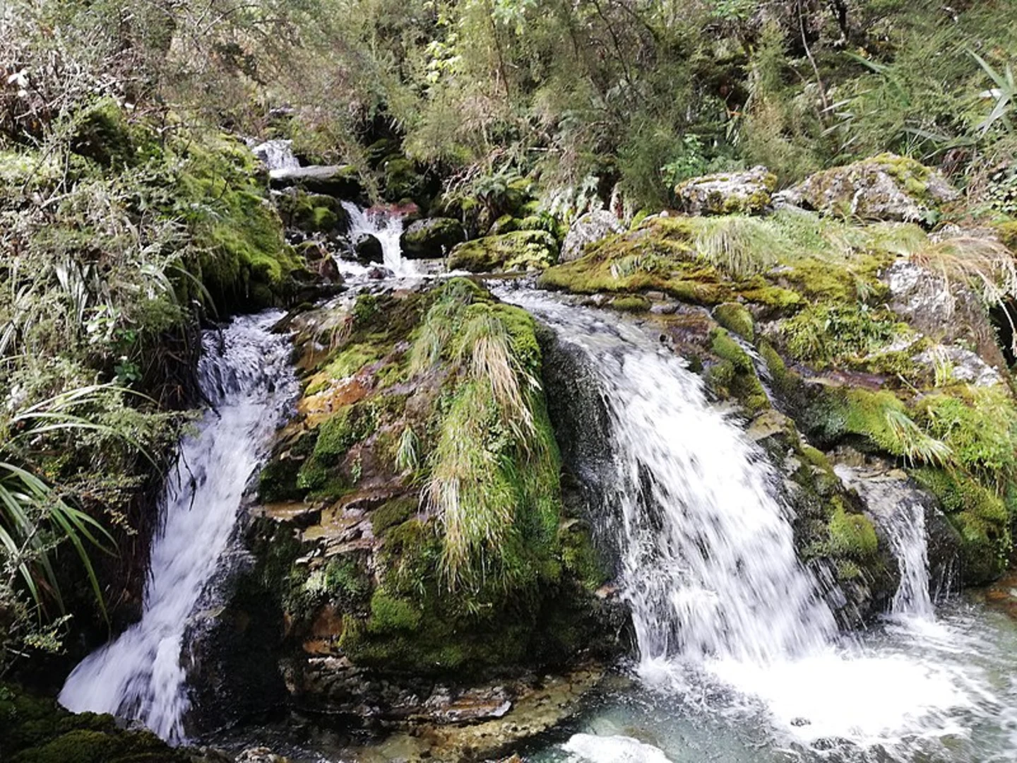 An image depicting the trail Deadmans Track and its surrounding area.