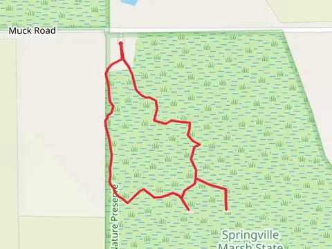 Springville Marsh Boardwalk Loop