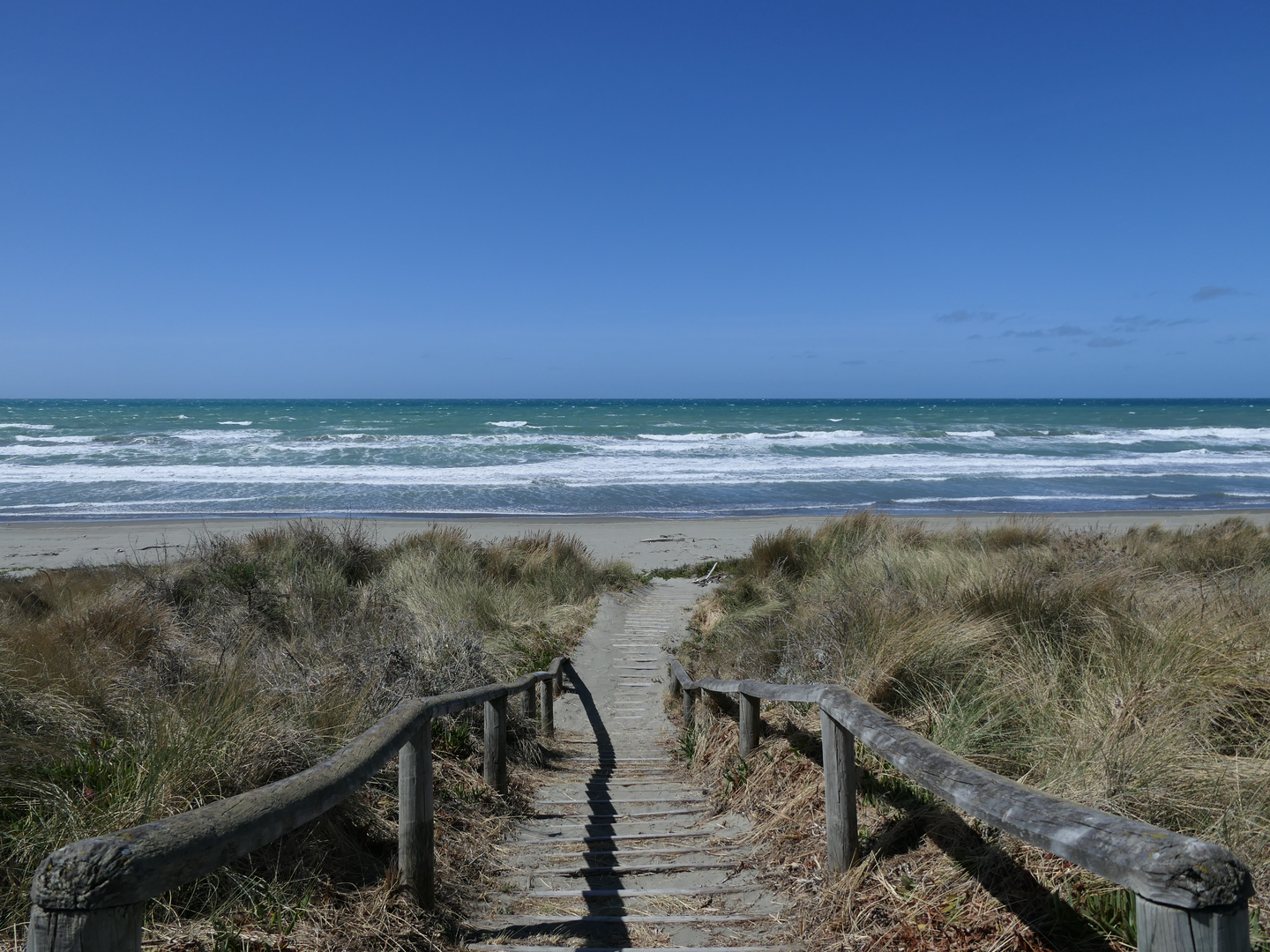 An image depicting the trail Southern Pegasus Bay Track and its surrounding area.