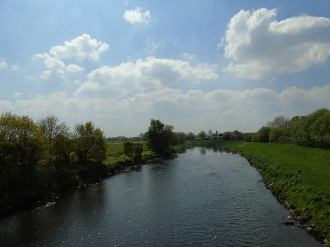 Kersal Wetlands and Kersal Dale Loop
