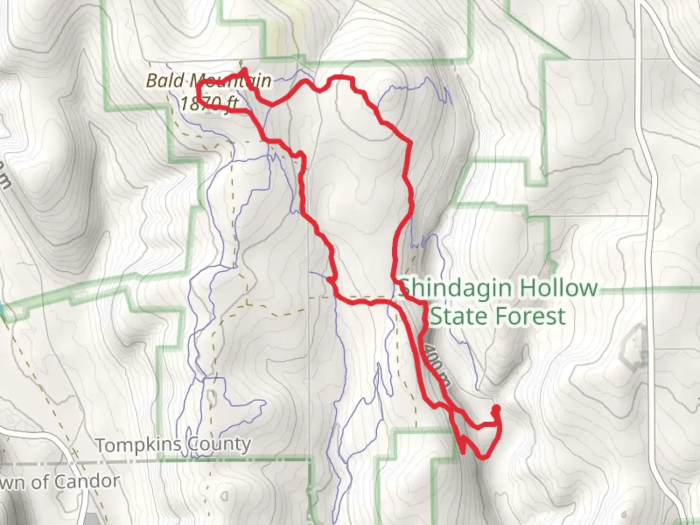 An image depicting the trail Bald Mountain Loop via Finger Lakes - North Country Trail and its surrounding area.