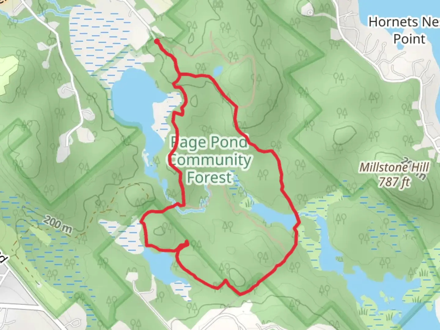 An image depicting the trail Quarry Road Loop and its surrounding area.