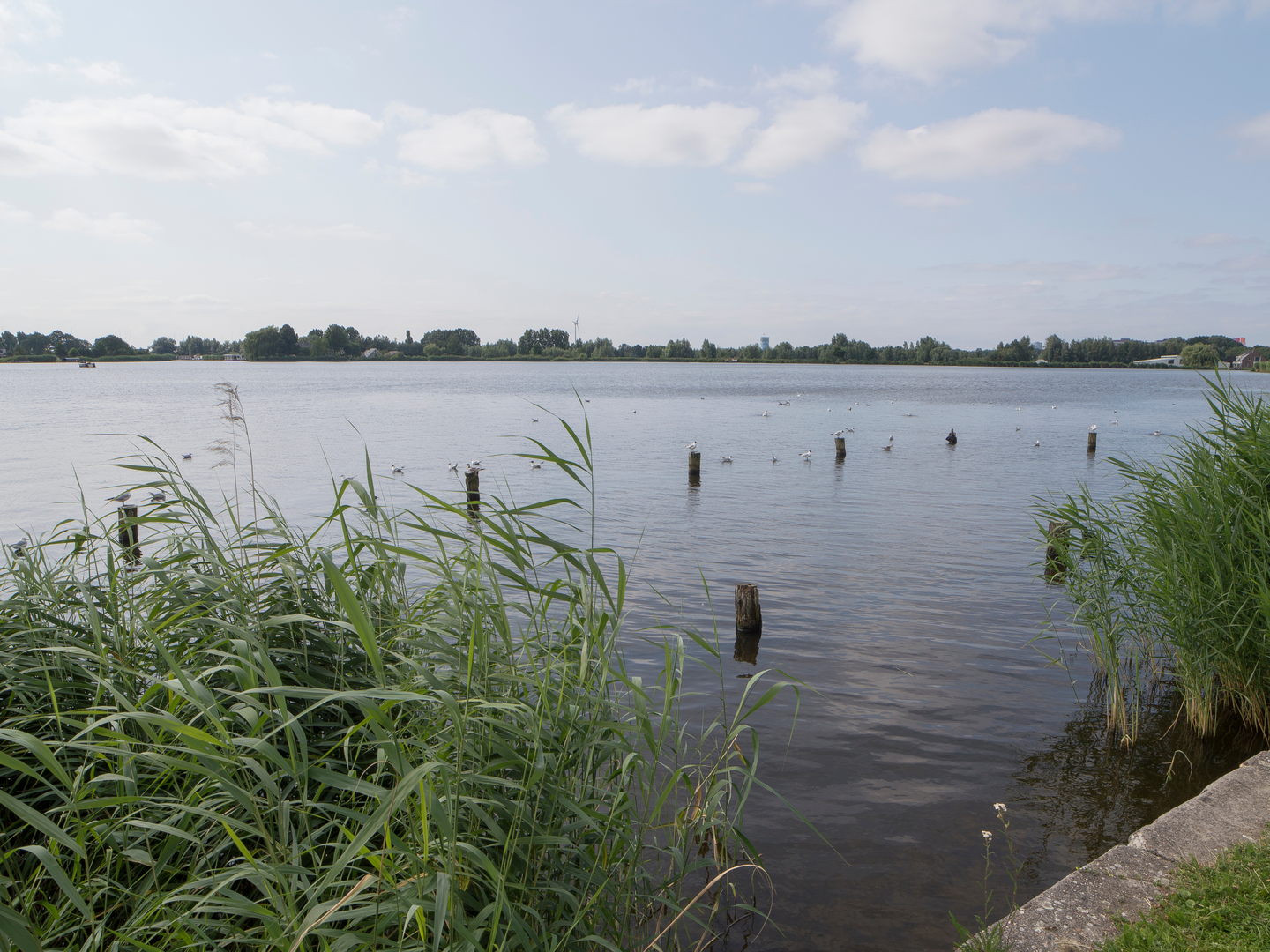 An image depicting the trail Abcouder Meer via Hollandse Kade and Holendrechter Weg and its surrounding area.