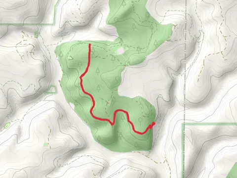 SCHT - Segment 13 Trail