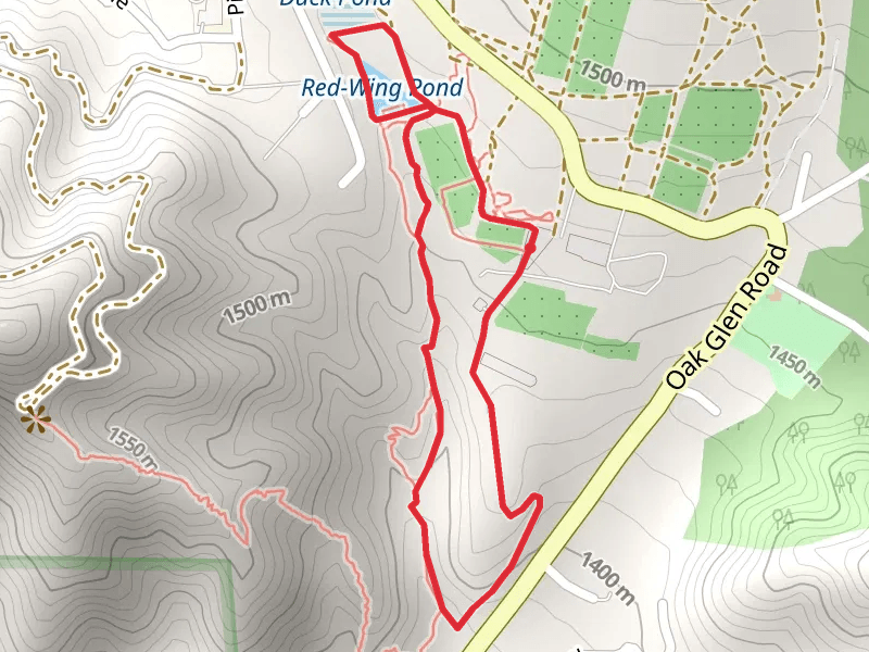 Red-Wing Pond via Nature Trail