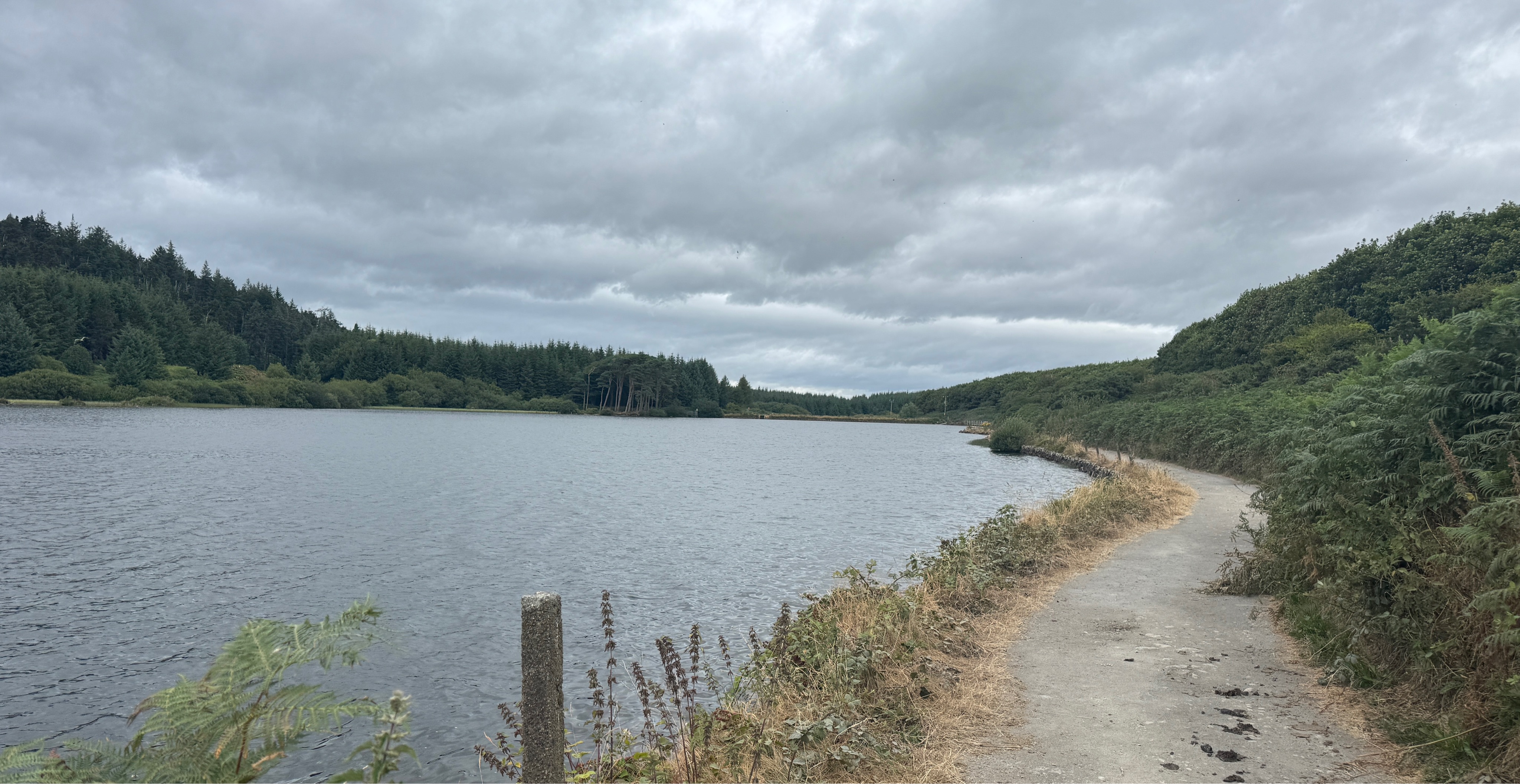 A map preview of the recording Tramore to Carrigavantry (out and back).