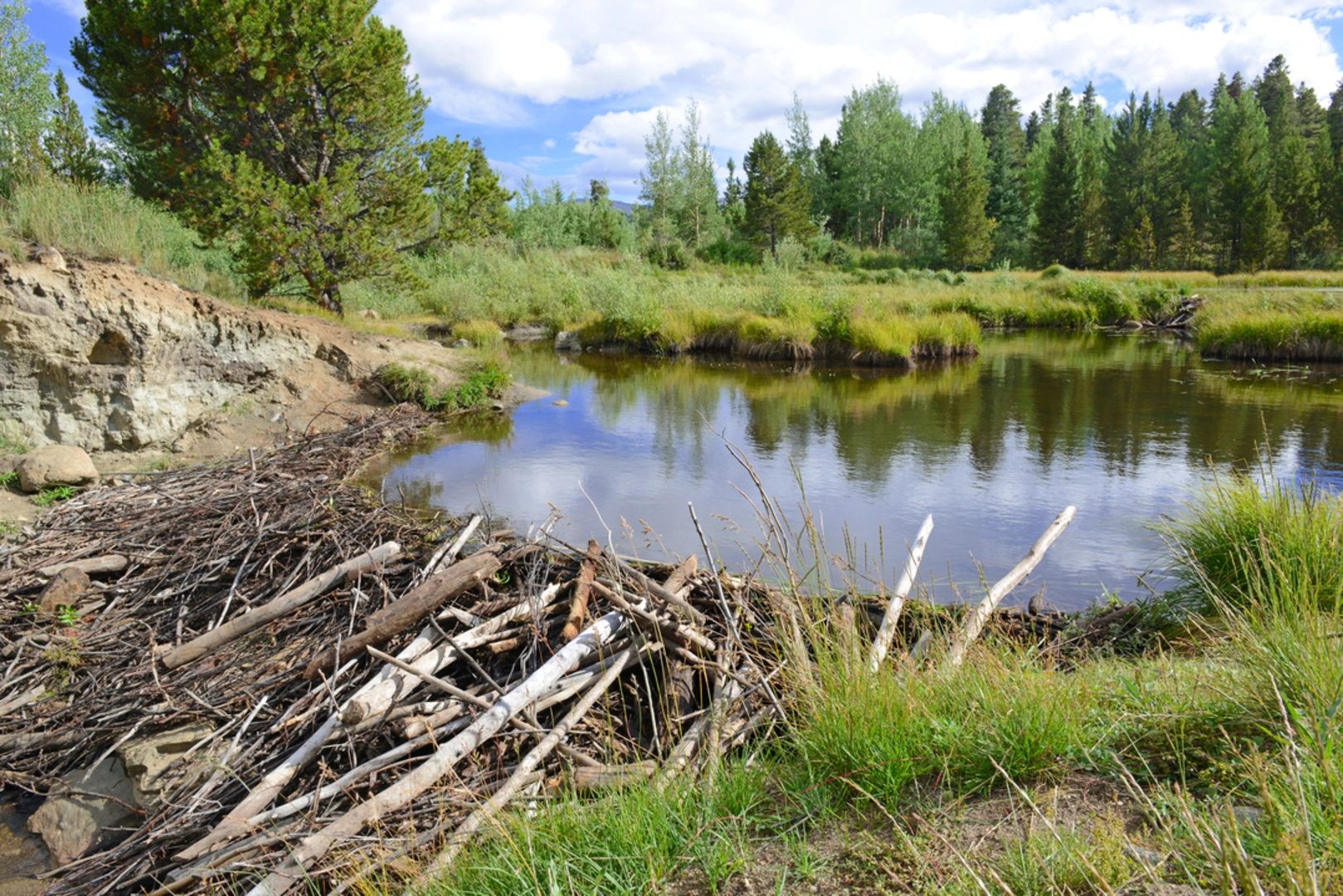 An image depicting the trail Upper Bench Trail and its surrounding area.