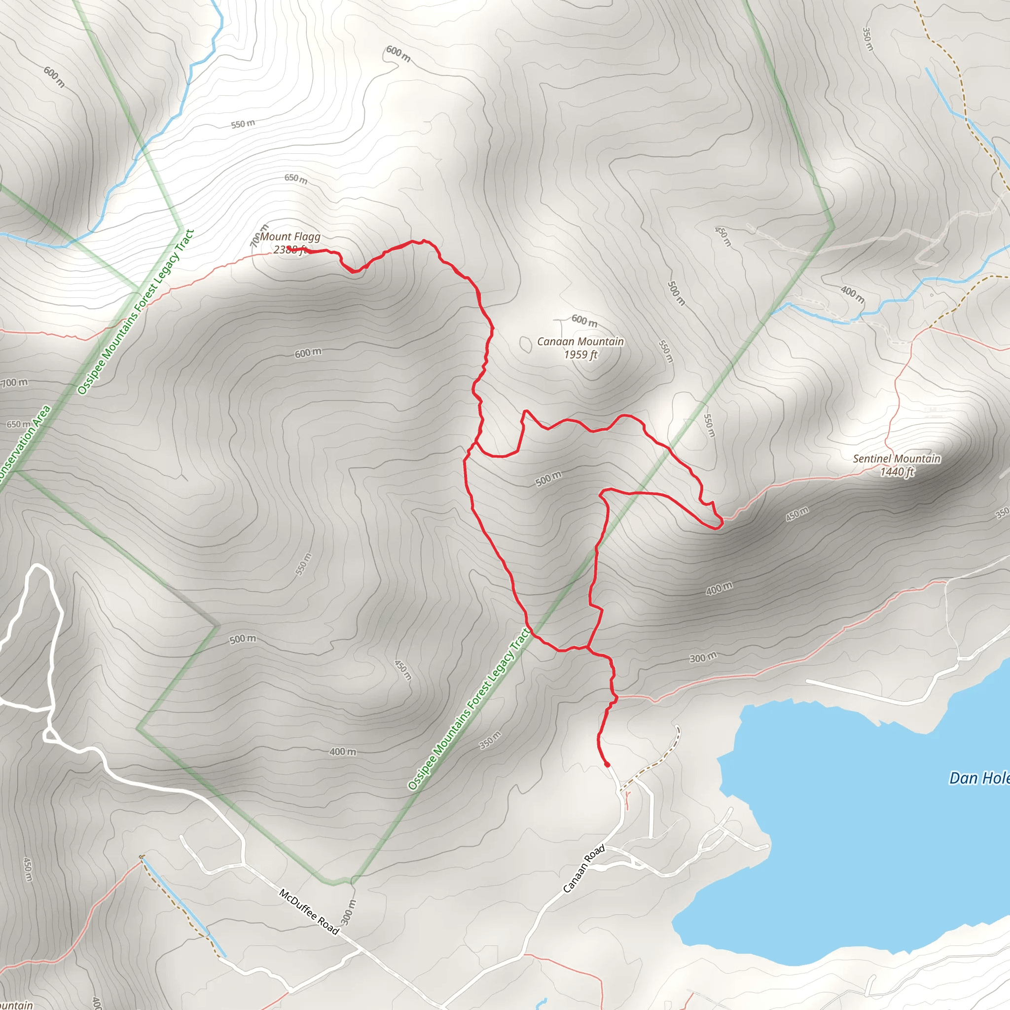Mount Flagg Loop Trail mobile static map
